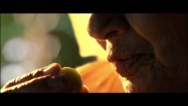 Indian Idol - Season 14 - 23rd December 2023